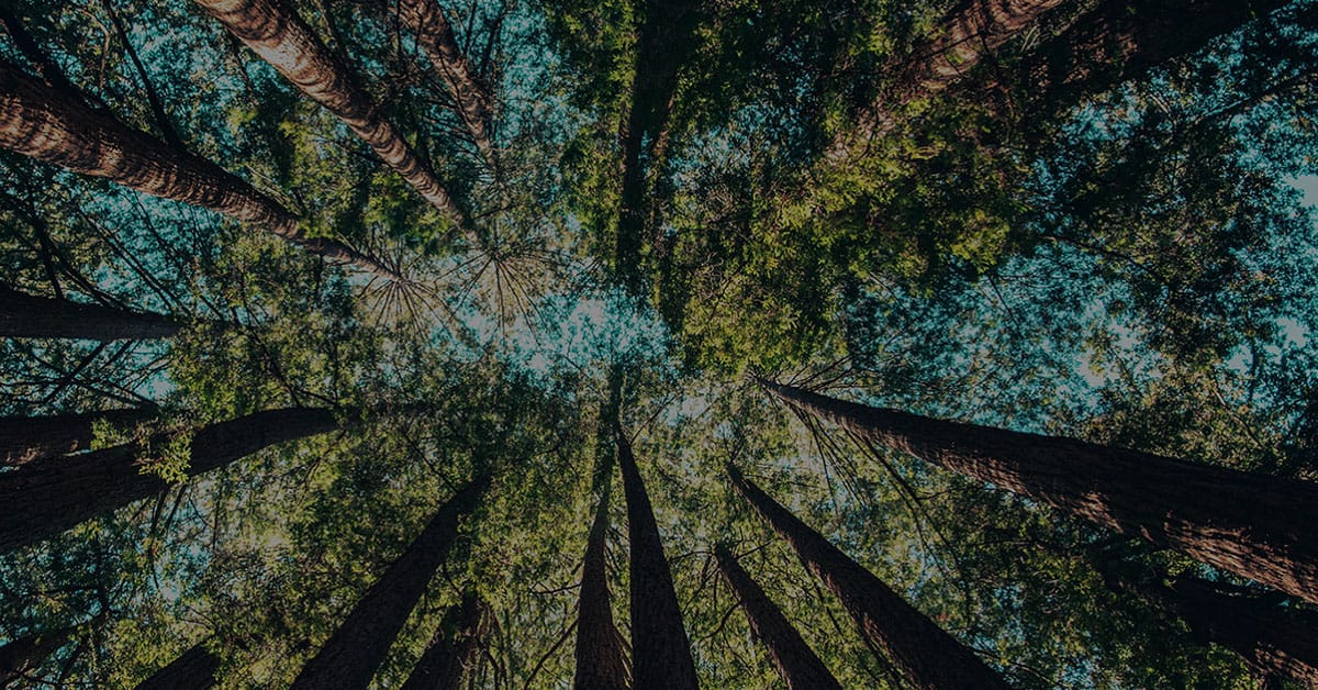 The Shift