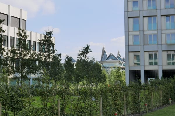 "Bouwen zonder impact blijft een paradox"