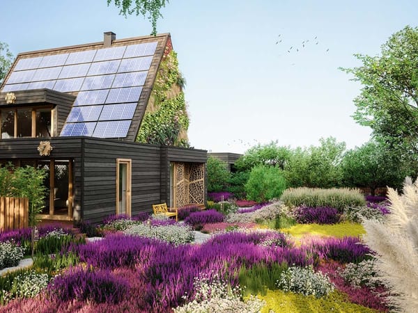 CASCO Studiedag: Bouwen met lokaal hout, stro en riet
